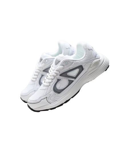 Dior B30
