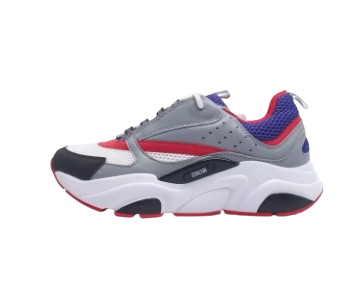 Dior B22