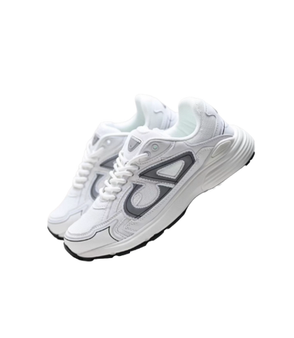 Dior B30